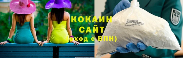 СК Новодвинск