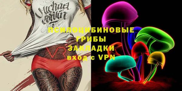 прущая мука Богородицк