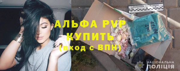 эйфоретик Богданович