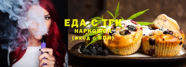 СК Новодвинск