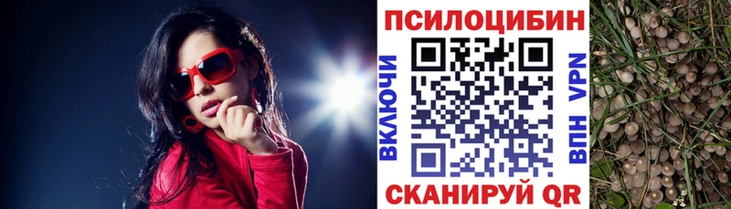 продажа наркотиков  Белореченск  kraken ONION  Псилоцибиновые грибы Cubensis 