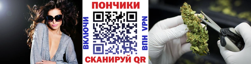 наркотики  Белореченск  Марихуана индика 